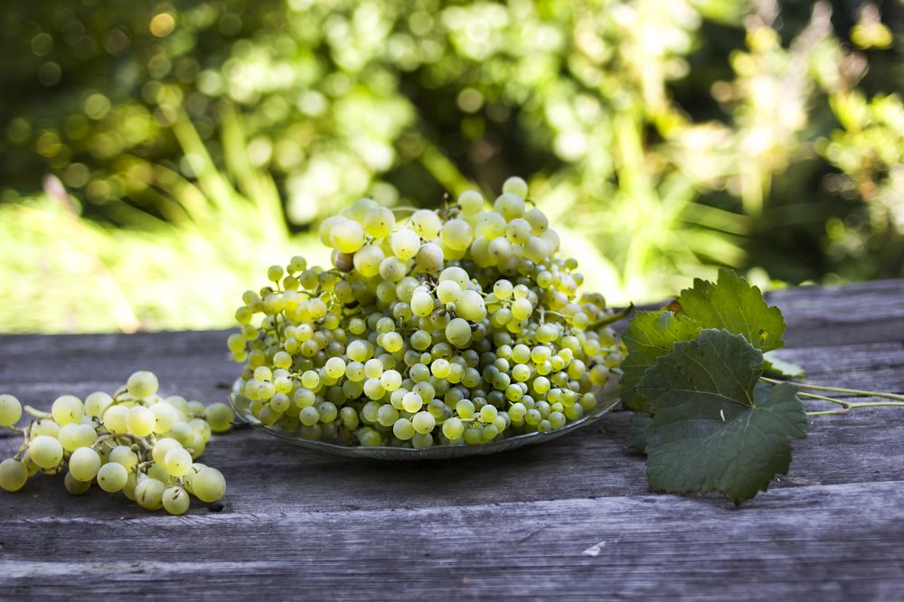 Photograph by Татьяна Шахматова