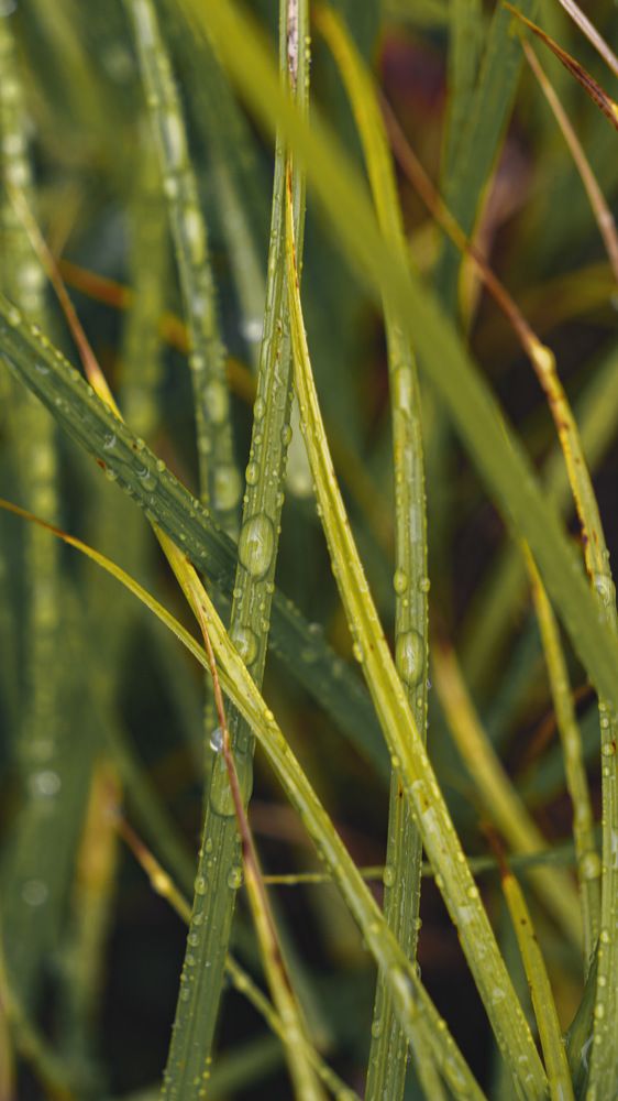 Photograph by Алиса Емельянова