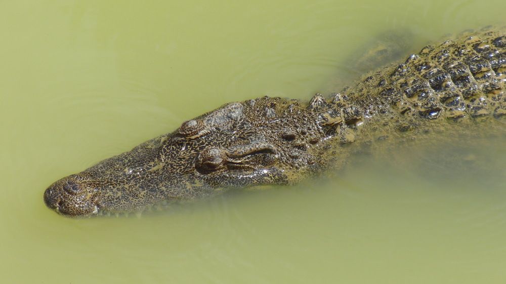 Photograph by Вадим Богатиков