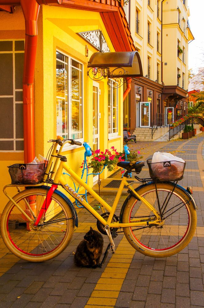 Фотография автора Ксения