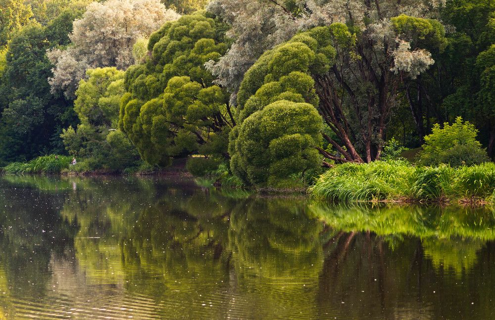 Photograph by Наталья Екимова