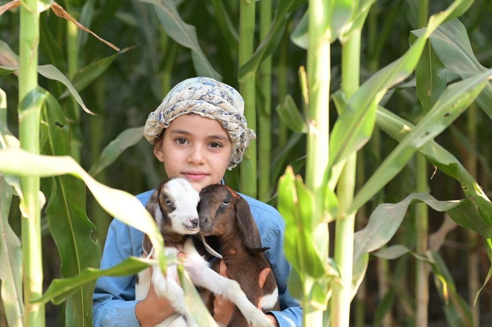 Photograph by  loai zedan