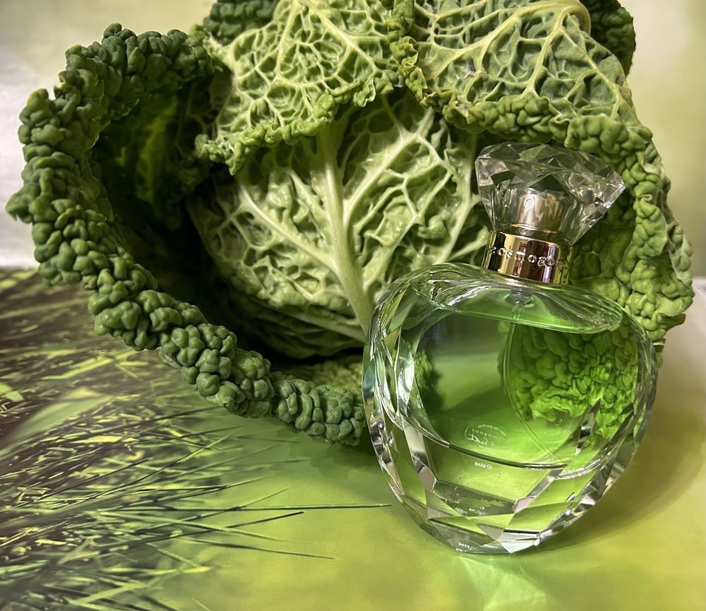 Photograph by Елена Власова