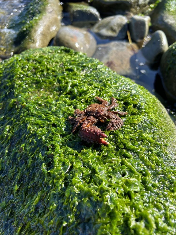 Photograph by Елена Власова