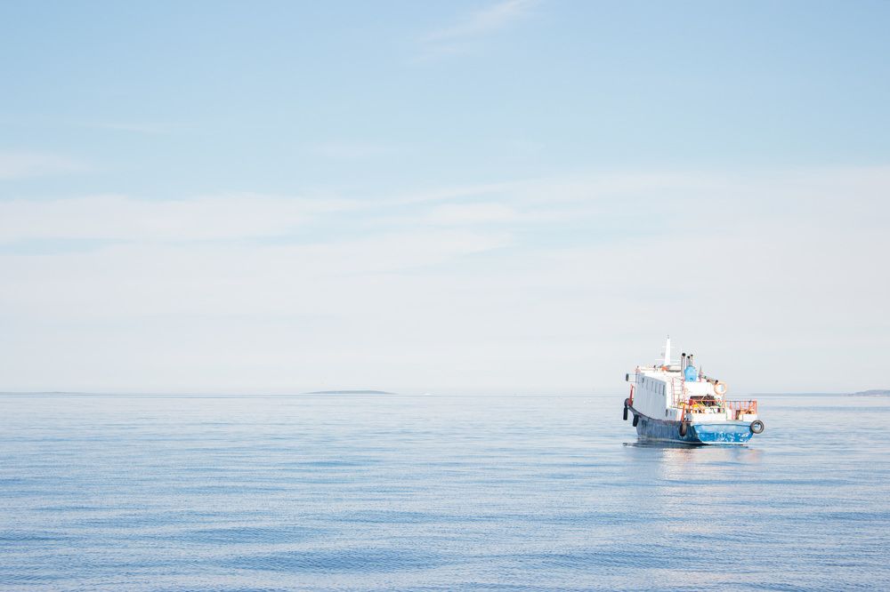Фотография автора Дмитрий Бута
