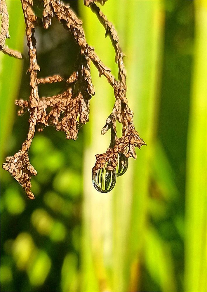 Photograph by Ольга Тихонова