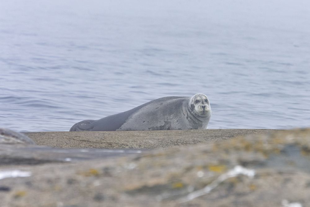 Photograph by Olga Mendosa