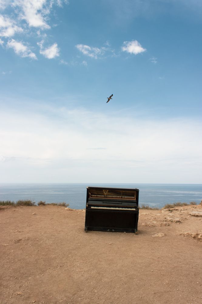 Фотография автора Дмитрий Бута