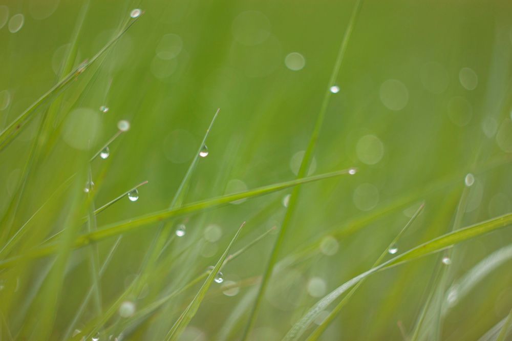 Photograph by Владислав Капанов