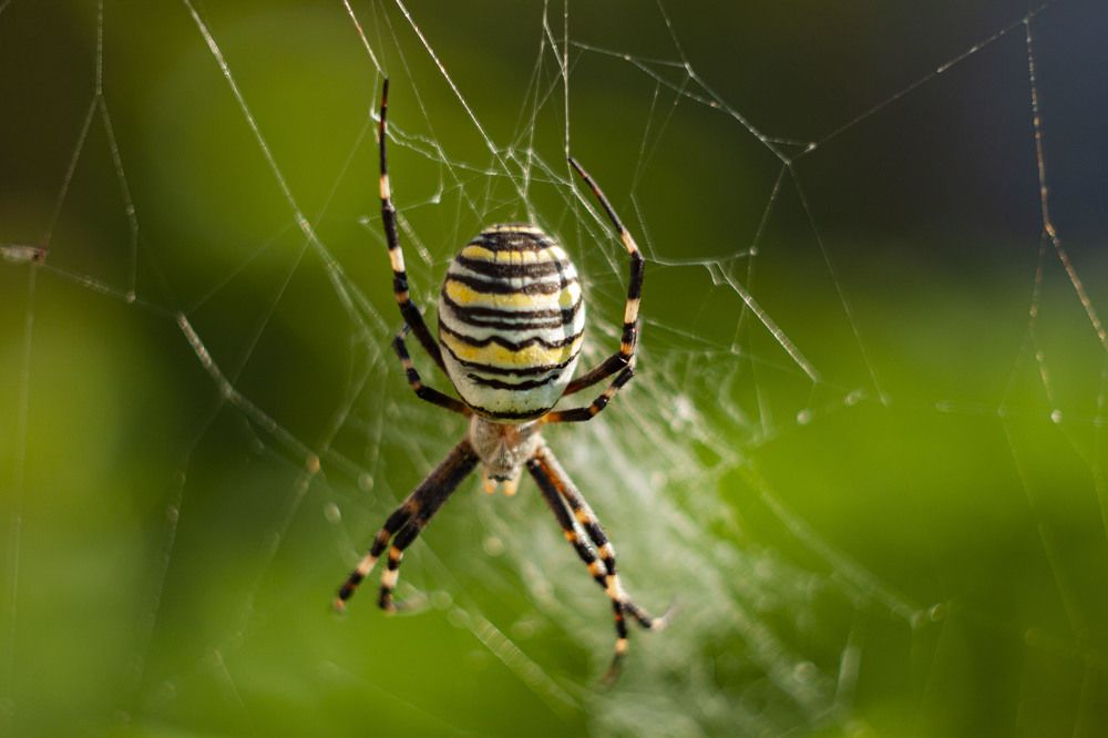 Photograph by Владислав Капанов