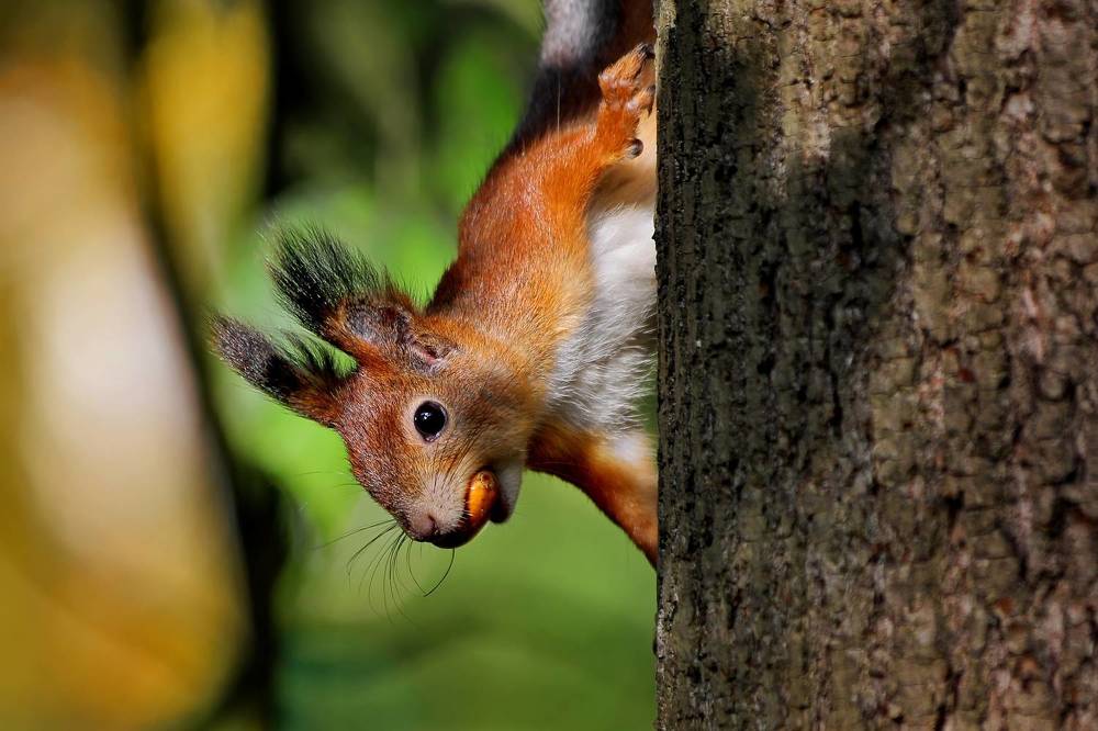 Photograph by Татьяна Бравая