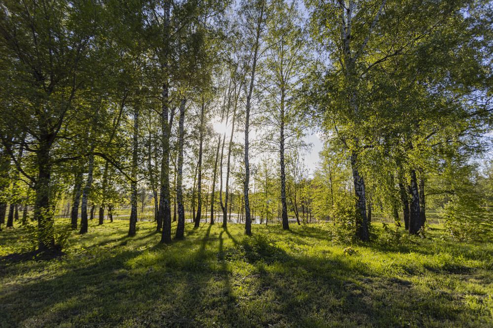 Photograph by Владислав Капанов