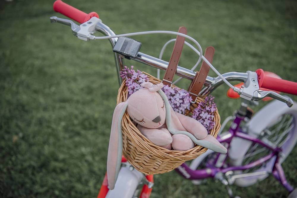 Photograph by Helena Proshkina