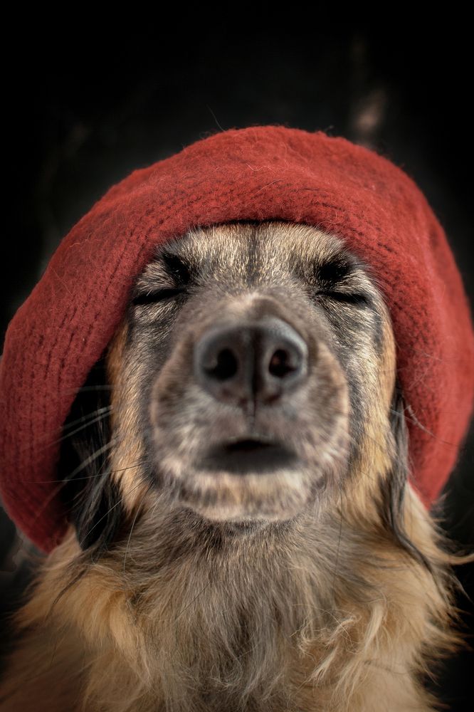 Photograph by Альфия Агзами