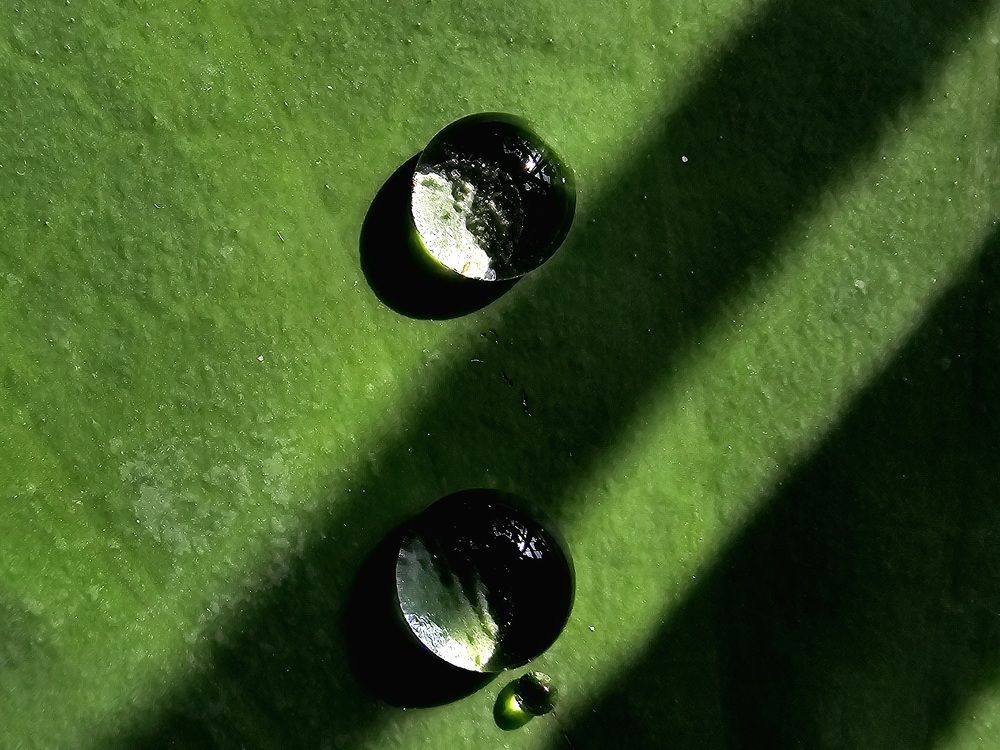 Photograph by Анна Семенова