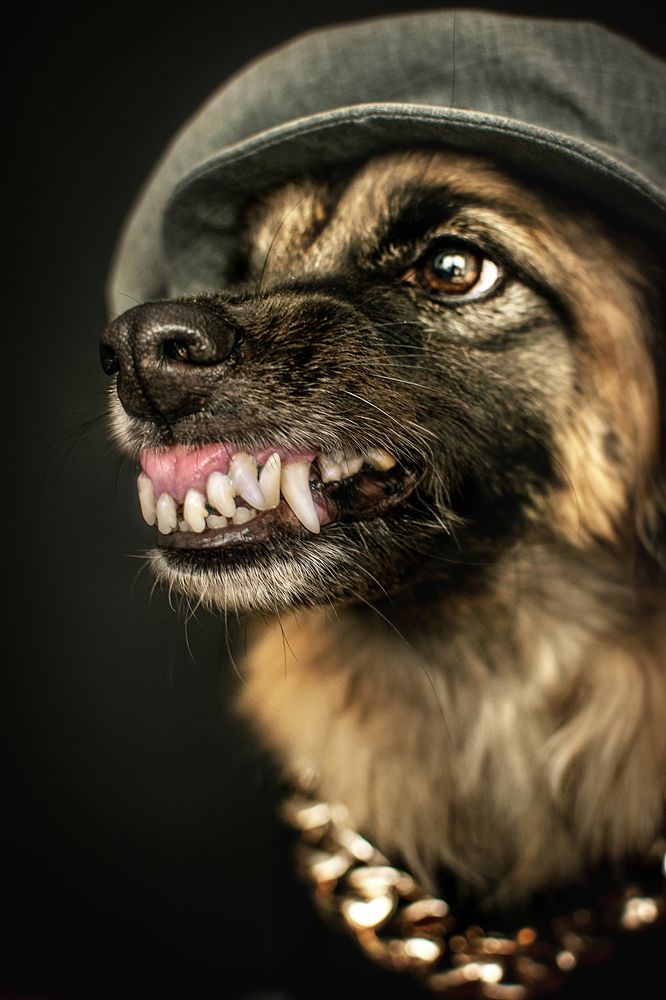 Photograph by Альфия Агзами