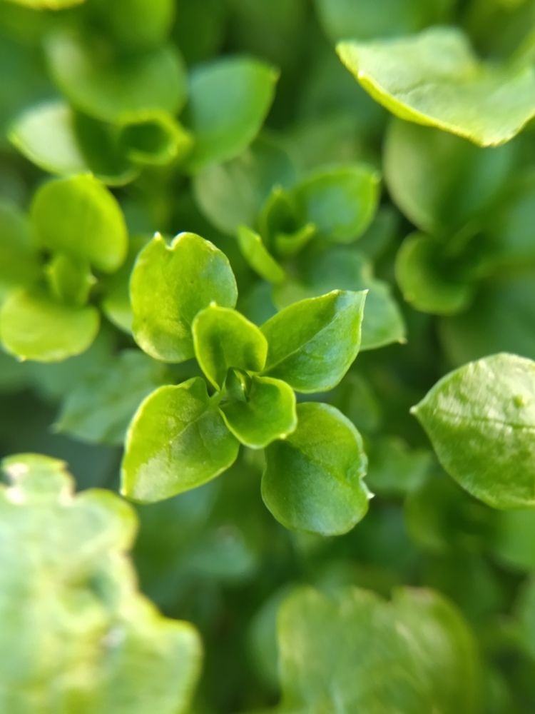 Photograph by Анна Степанова