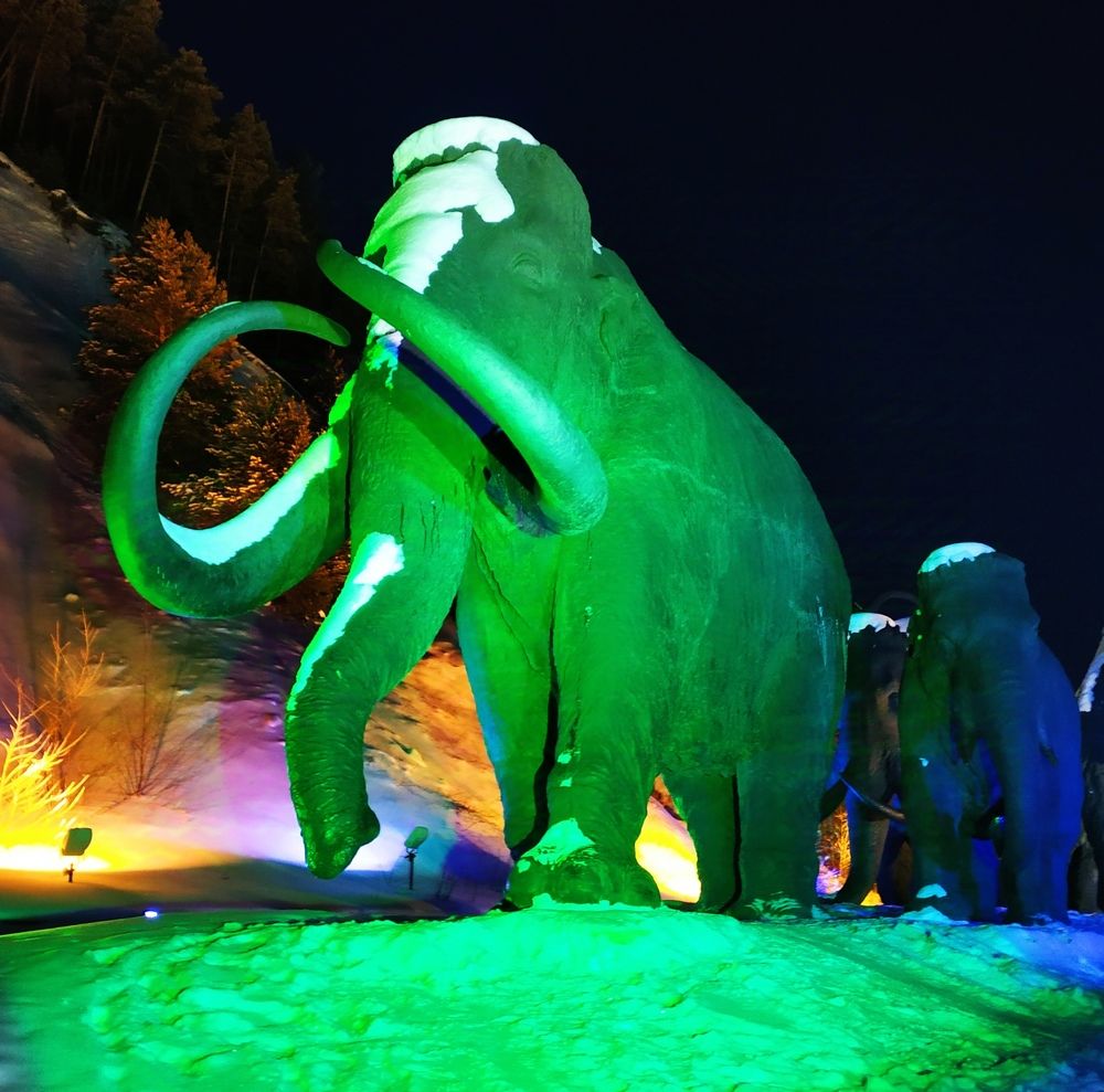 Photograph by Юлия Холомцева