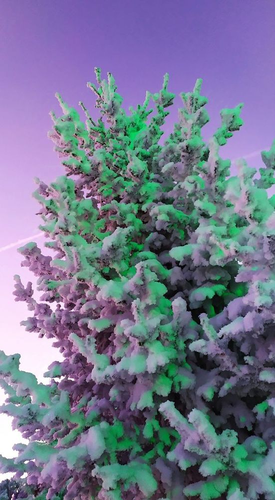 Photograph by Юлия Холомцева