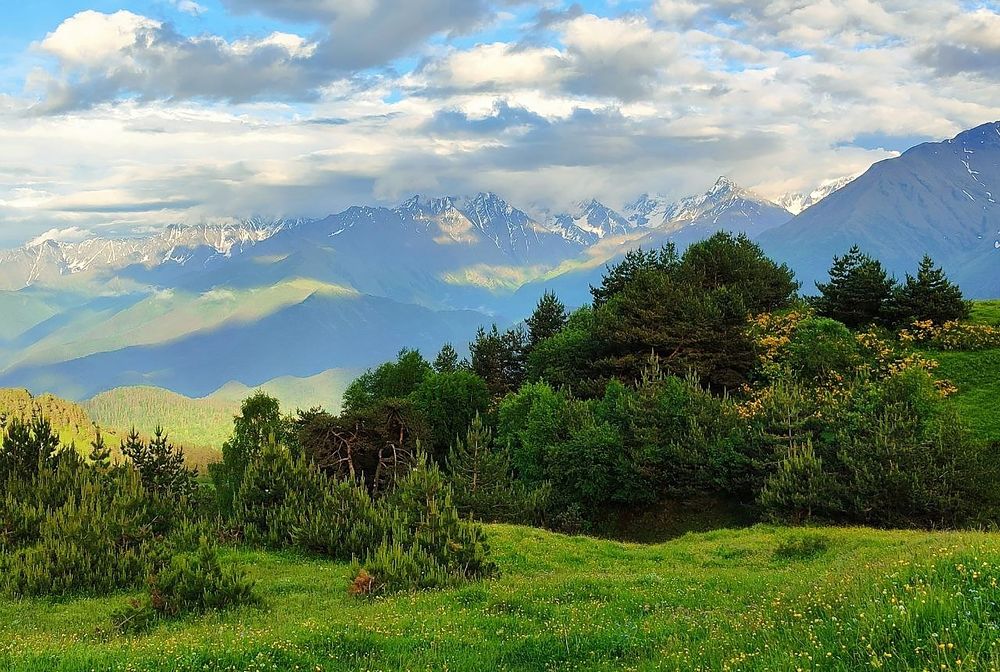 Photograph by Юлия Холомцева