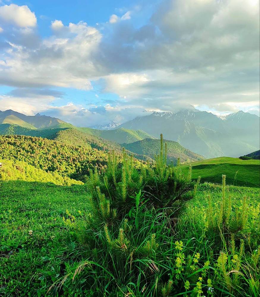 Photograph by Юлия Холомцева