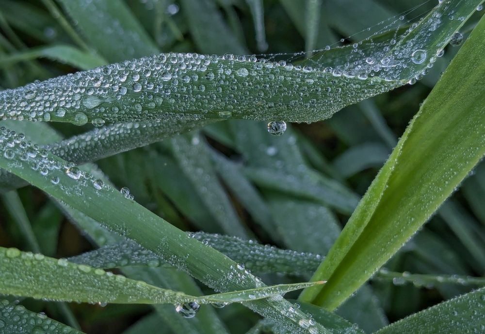 Photograph by Ольга Тимофеева