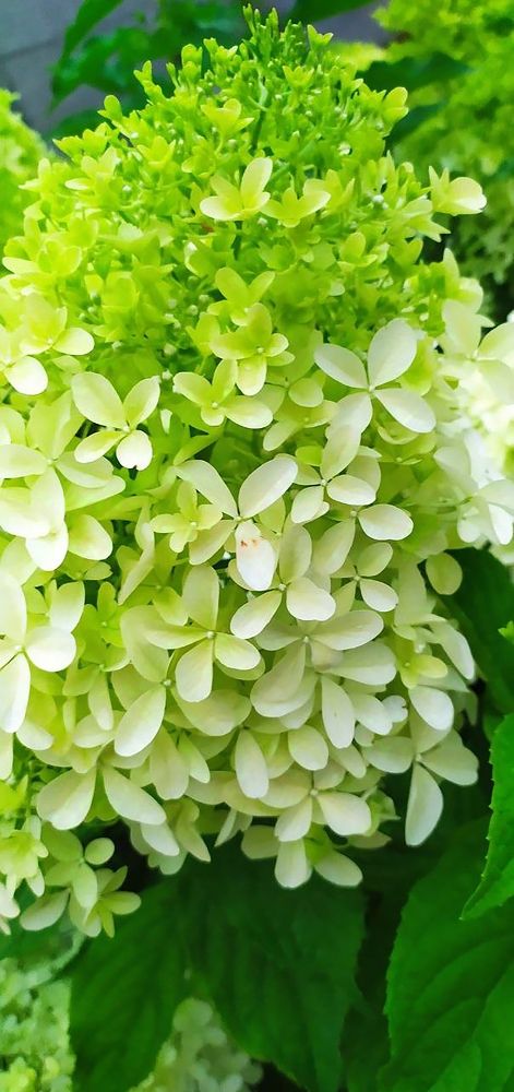 Photograph by Юлия Холомцева