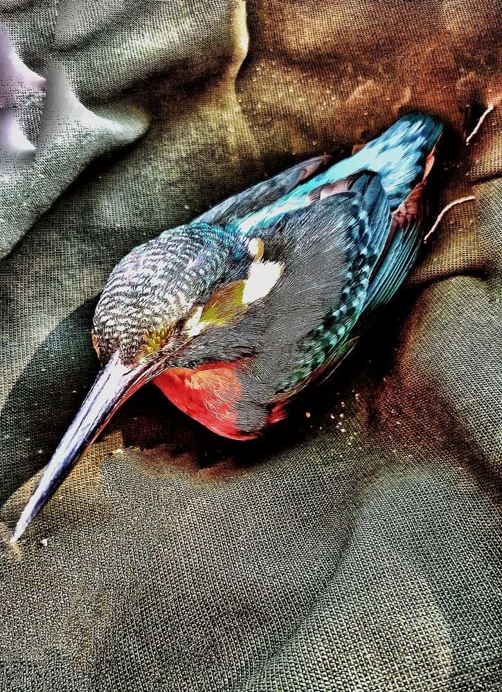 Photograph by Myrsini Charalampidou