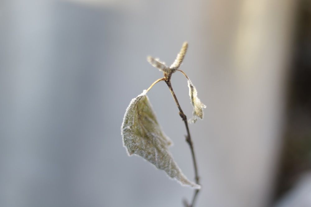Photograph by Людмила Мелашич