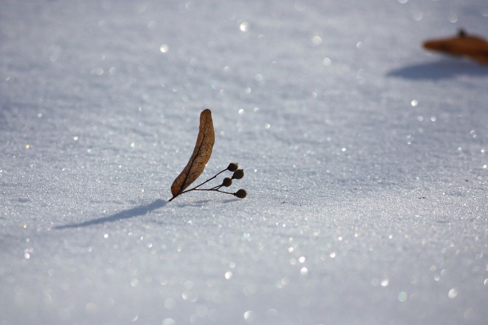 Photograph by Людмила Мелашич