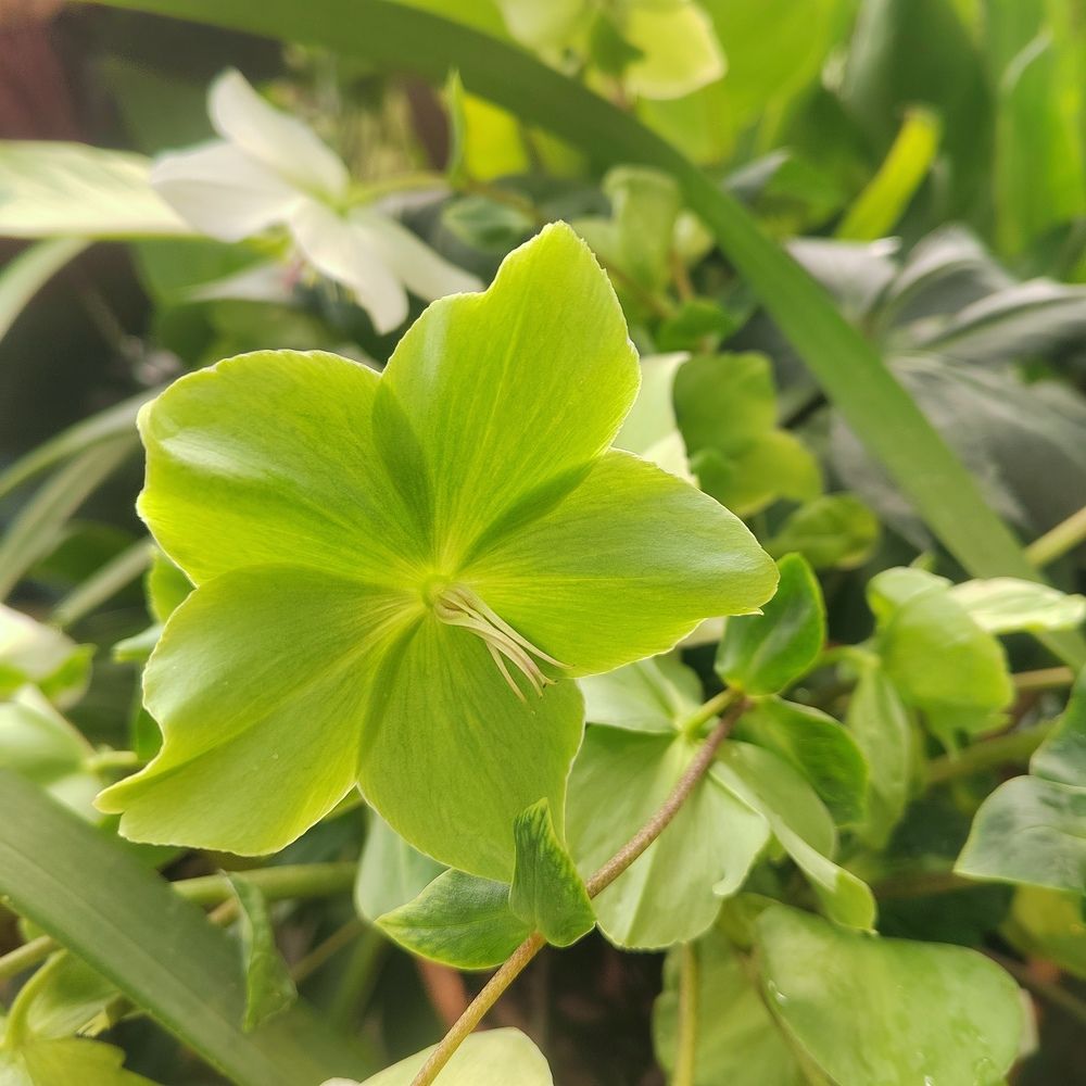 Photograph by Елизавета Завзина