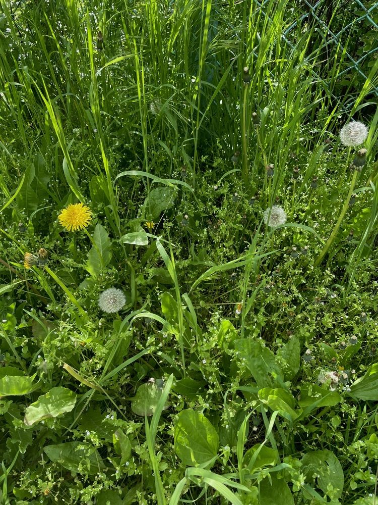 Photograph by Полина Рыжакова