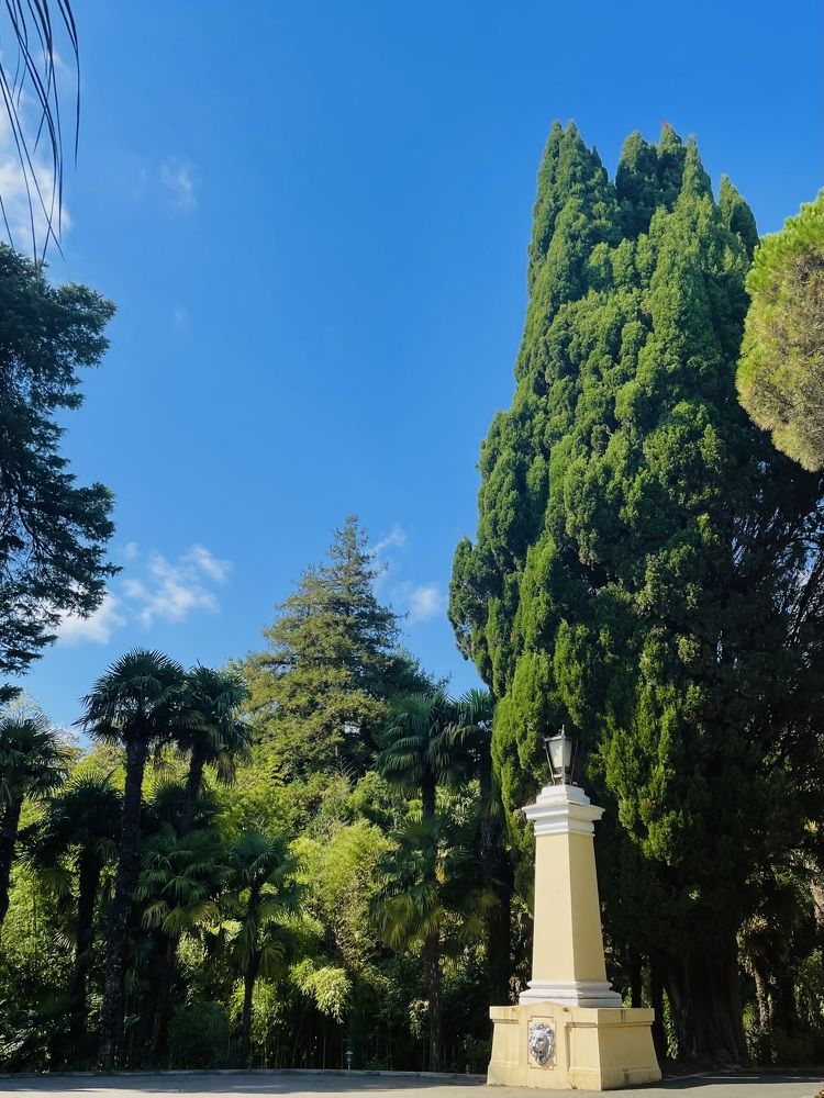 Photograph by Полина Рыжакова