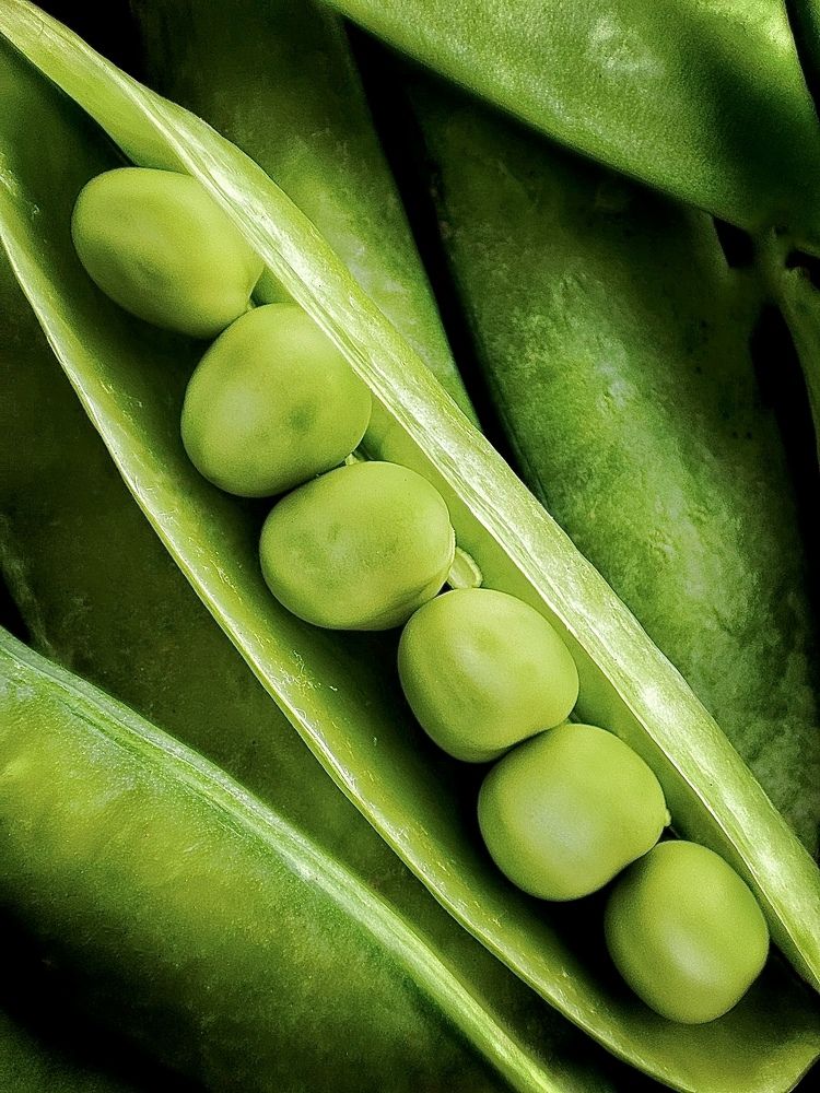 Photograph by Дина Желанова