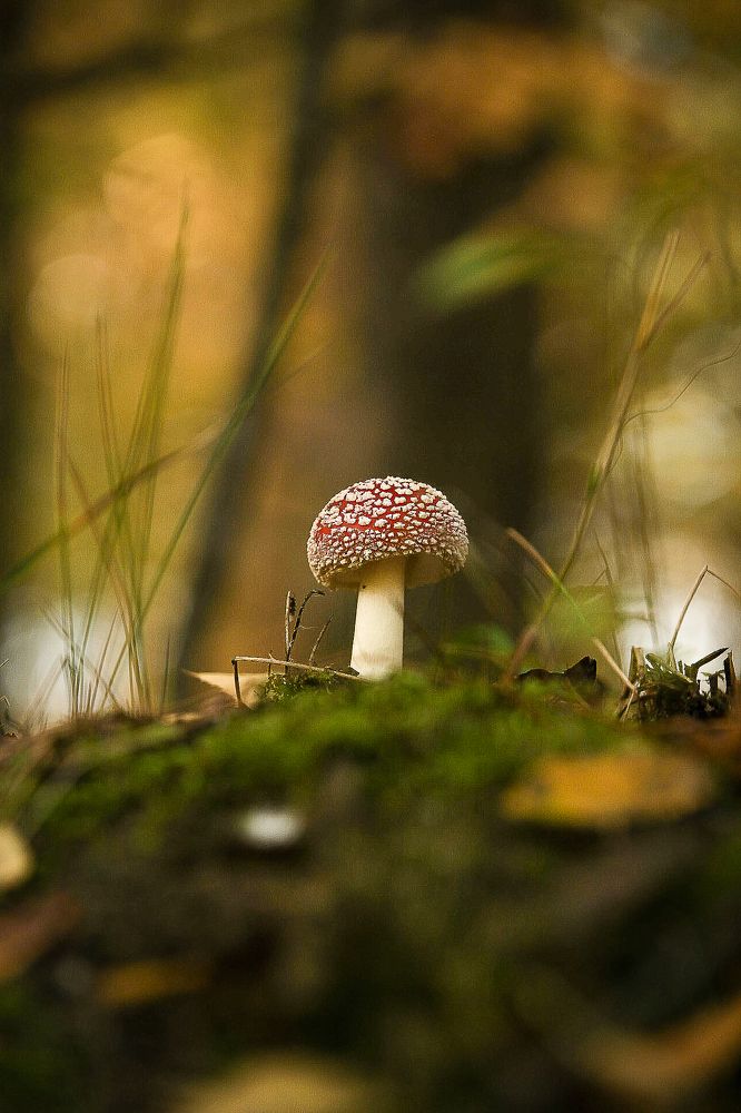 Photograph by Anatoliy Buyanov