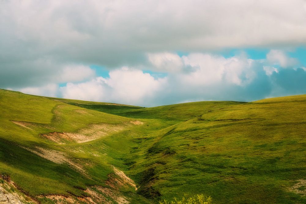 Photograph by Алексей Голубев