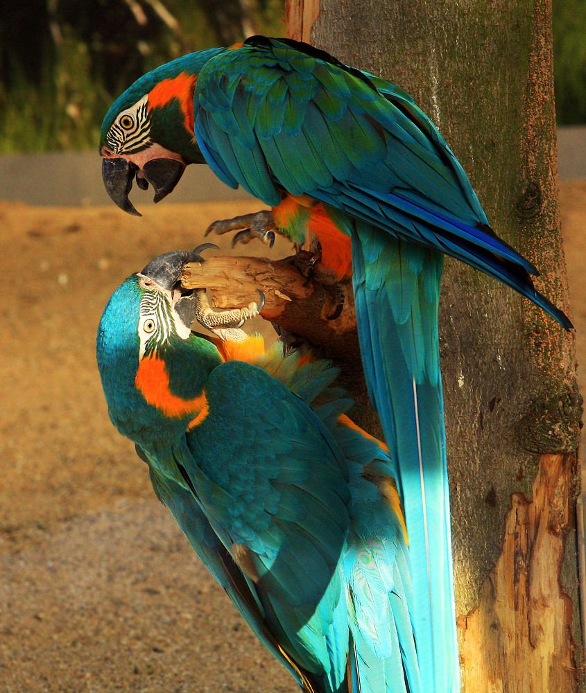 Фотография автора Александр