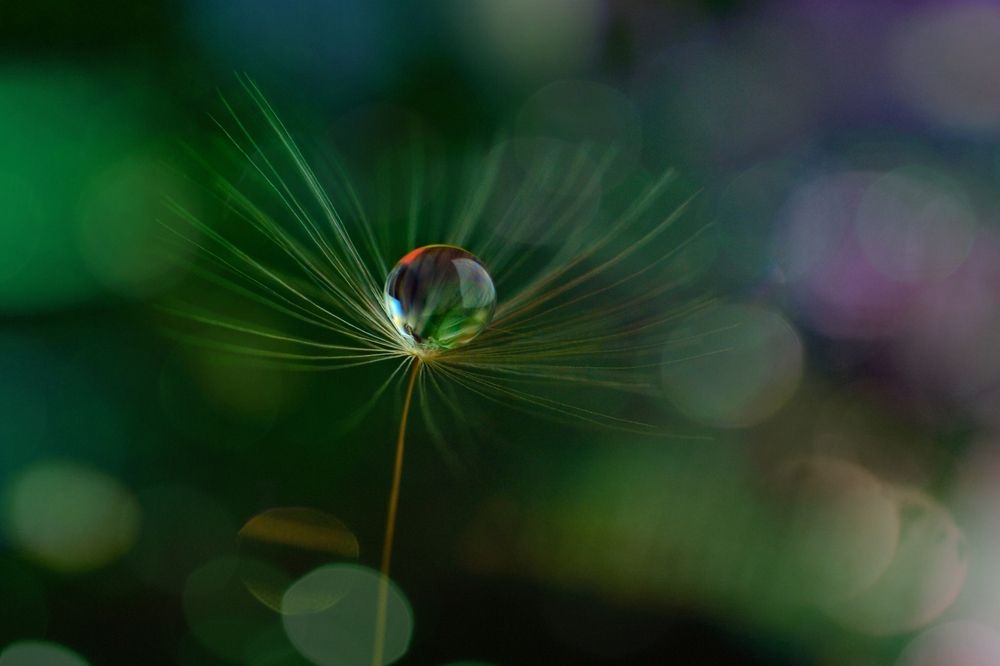 Photograph by Magic Helios