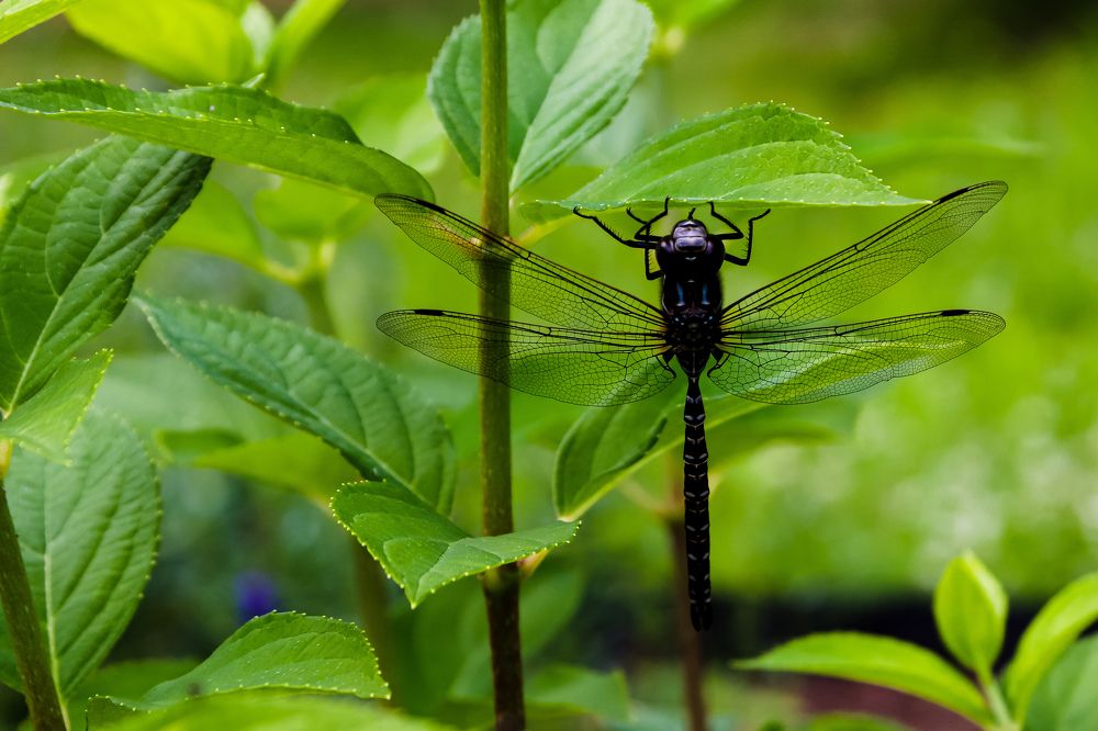 Photograph by Алексей Голубев