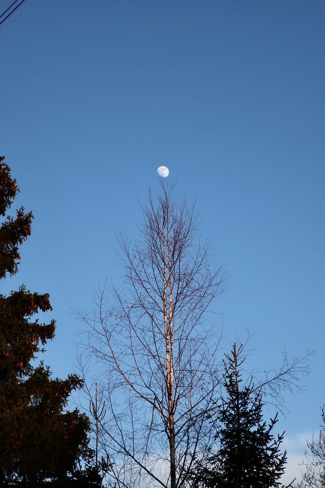 Photograph by Надежда Ткаченко