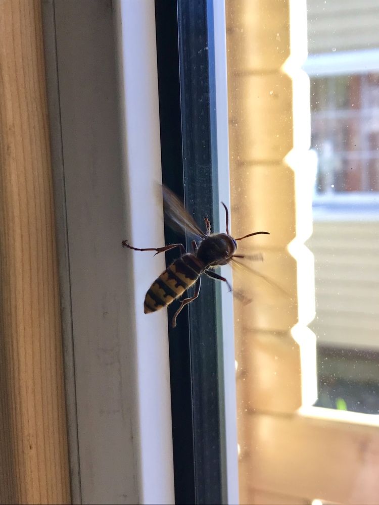 Photograph by Надежда Ткаченко