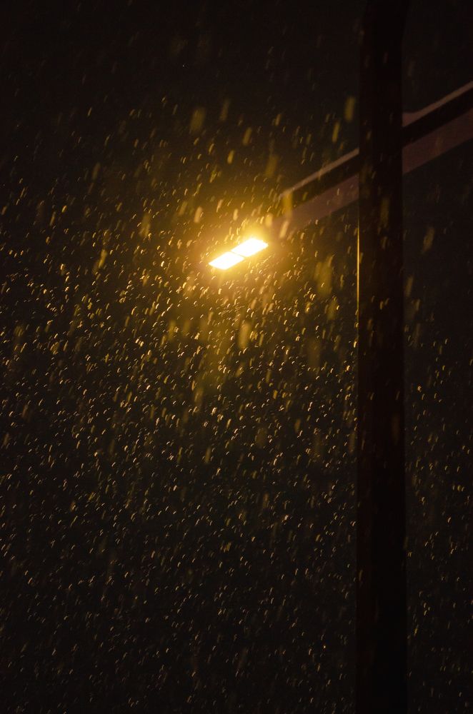 Photograph by Татьяна Герасимцева