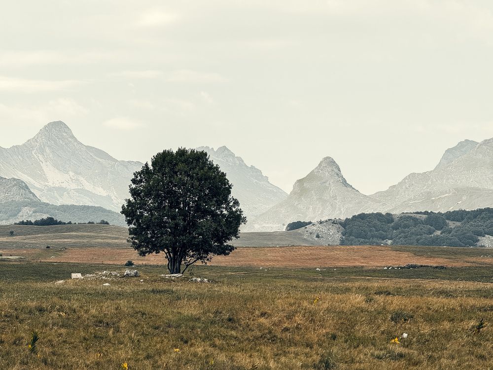 Photograph by Uliana Volegova