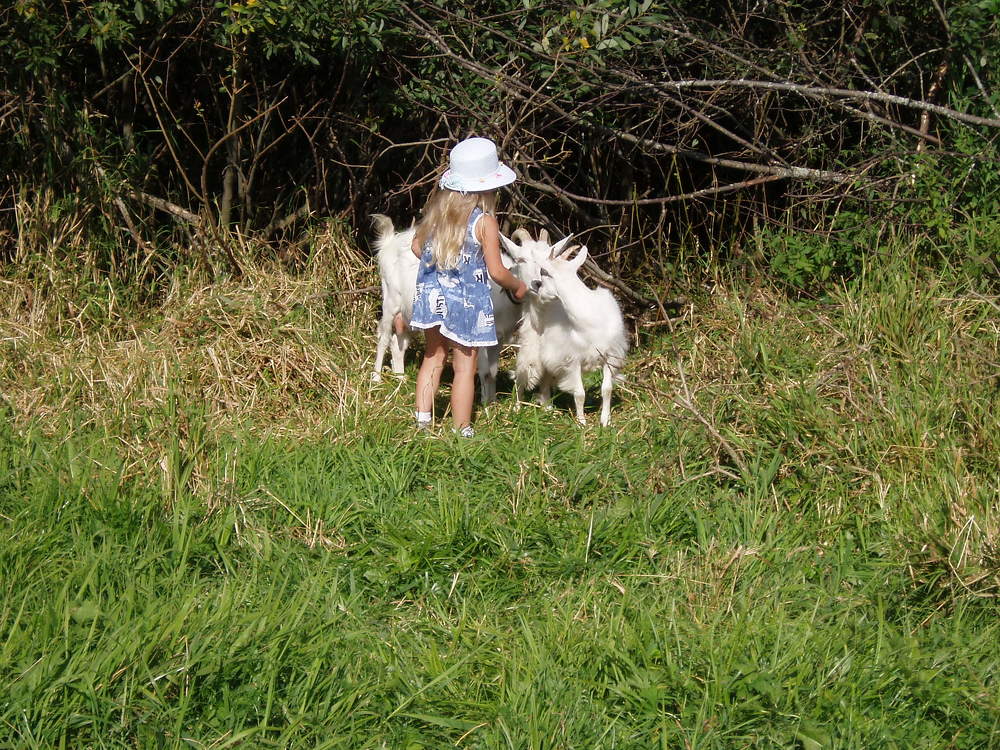 Photograph by Татьяна Смирнова