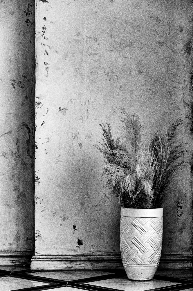 Photograph by Hani Nakib