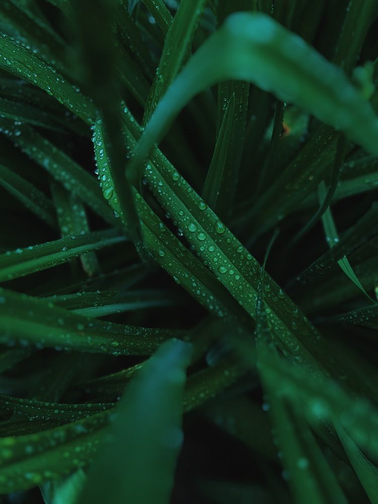 Фотография автора Катерина Иванова