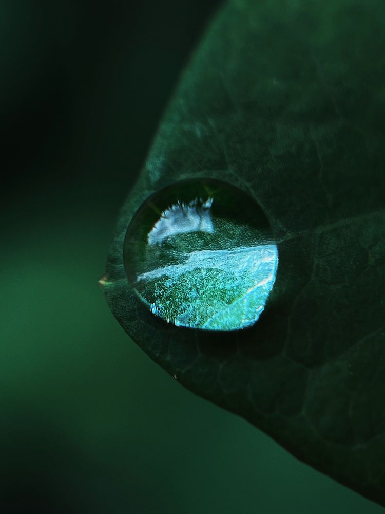 Фотография автора Катерина Иванова