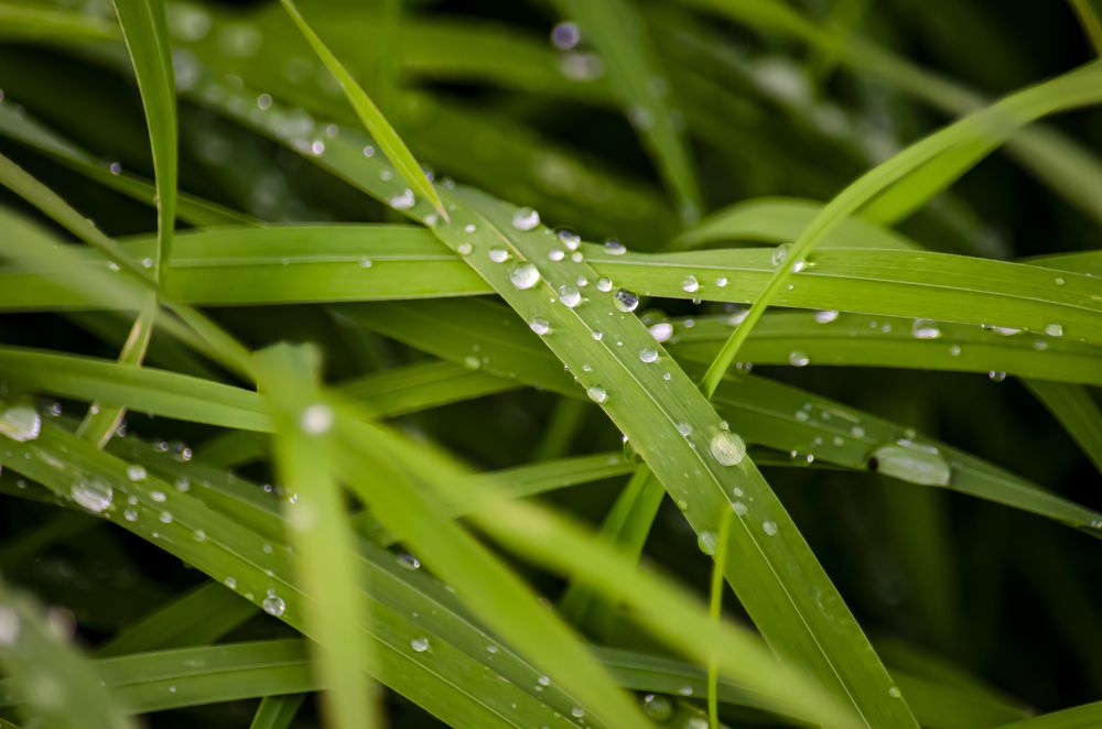 Photograph by Юлиана Иванова