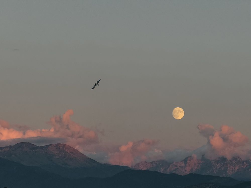 Photograph by Uliana Volegova