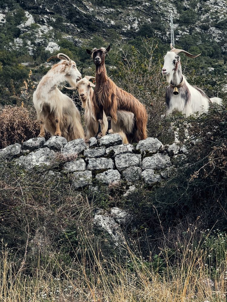 Photograph by Uliana Volegova